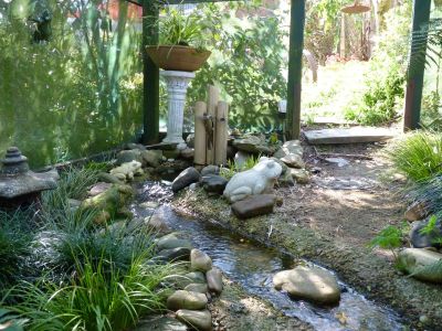 Fernery