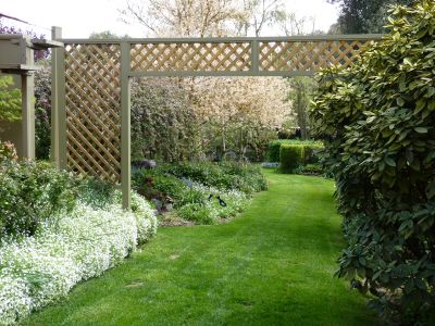 Trellis