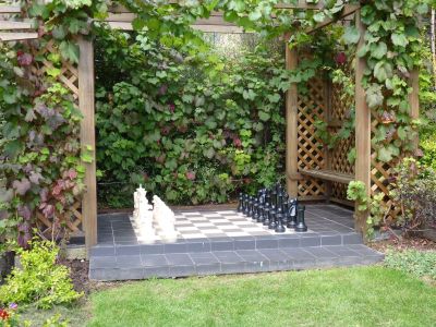 Chess Grape Vine