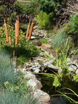 Bull Rushes