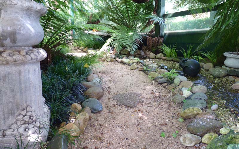 Fernery